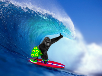 Gorilla_surf_icon_by_trid2bnrml.png