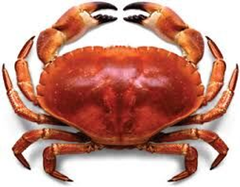 crab1.png