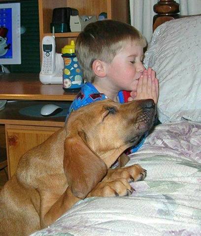 Boy%20and%20Dog%20Praying%20Together.jpg