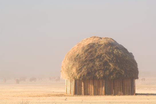 Haystack_AT01502.jpg