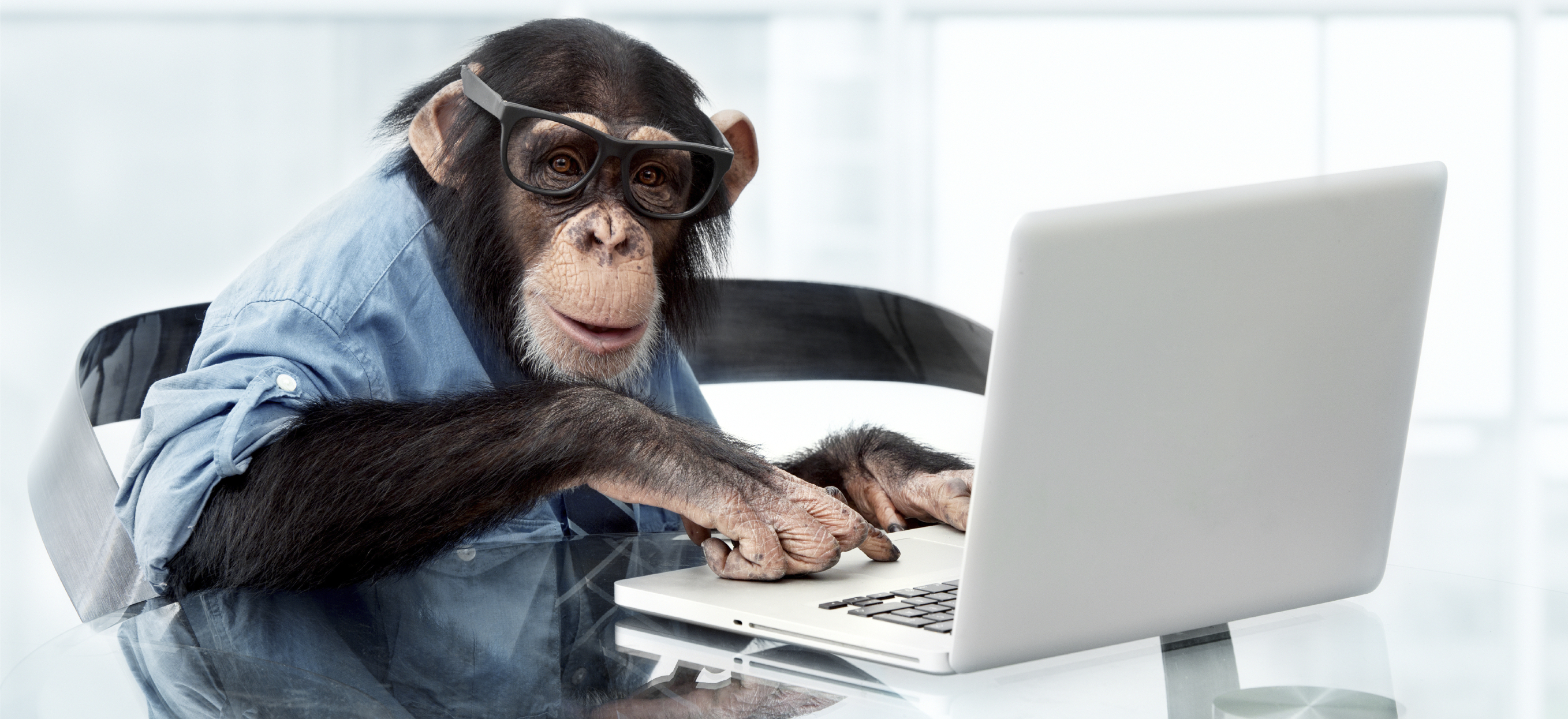 istock-18586699-monkey-computer_brick-16e5064d3378a14e0e4c2da08857efe03c04695e.jpg