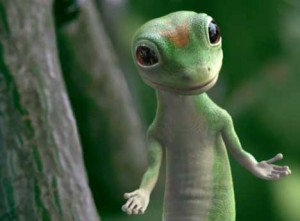 _geico-gecko-1.jpg