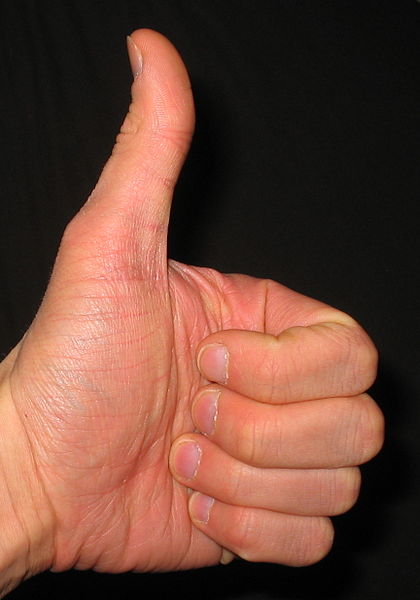 420px-Thumbs_up.jpg