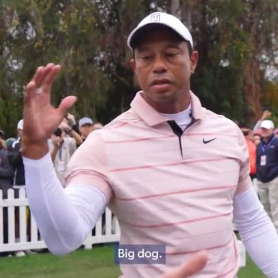The Tiger Woods big dog meme has officially taken over the Internet |  This is the Loop | GolfDigest.com