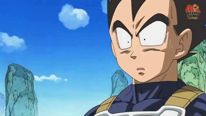 vegeta_wtf.jpg