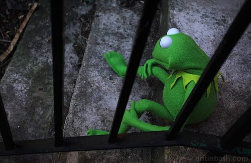 sad-kermit-via-kermitography.jpg