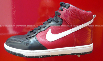 nike-dunk-2008-preview-19.jpg