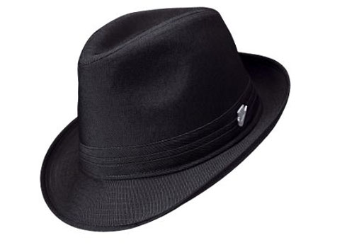 Stylish+Fedora+hat+%25289%2529.jpg