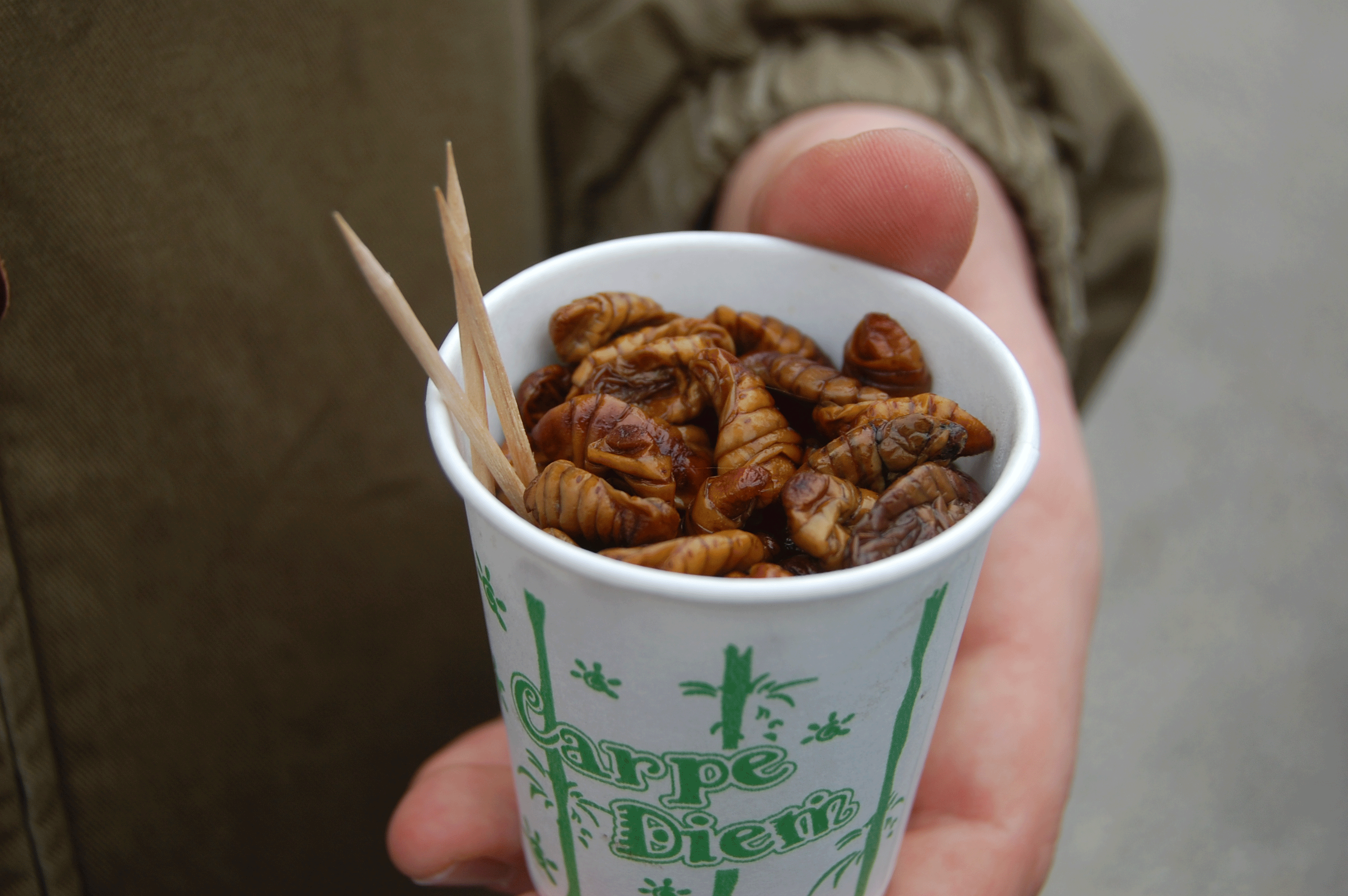 silk-worm-larvae.gif