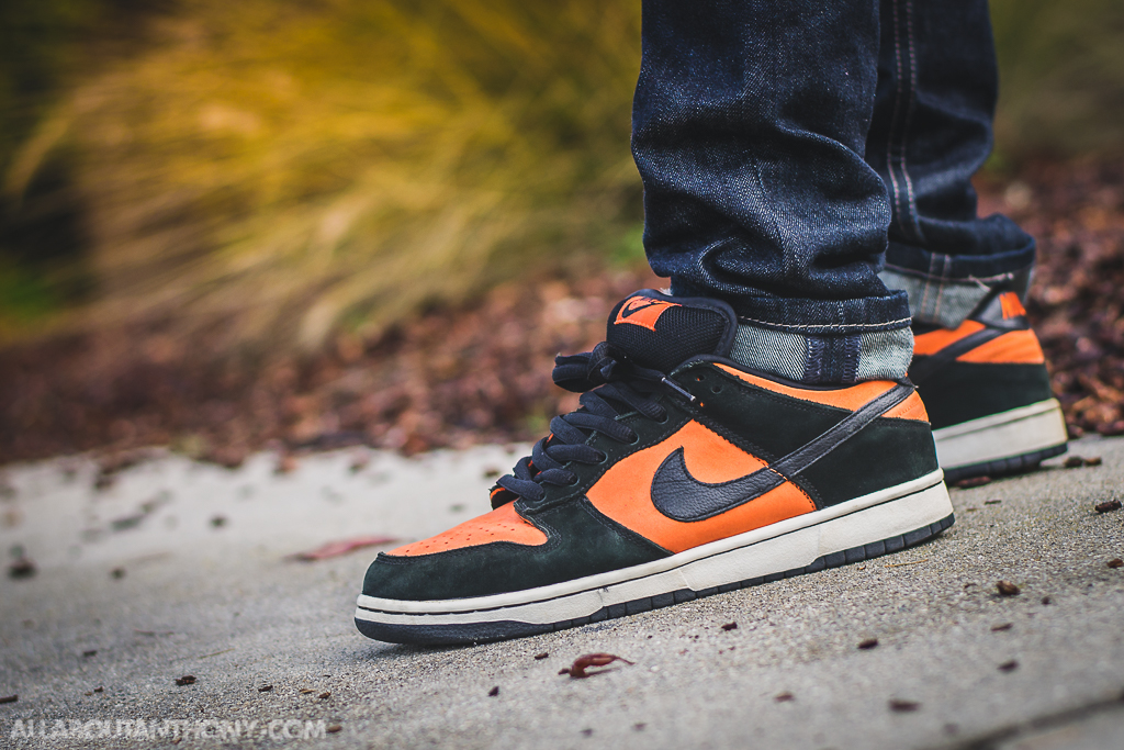 Nike-Dunk-Low-SB-Flash-1.jpg