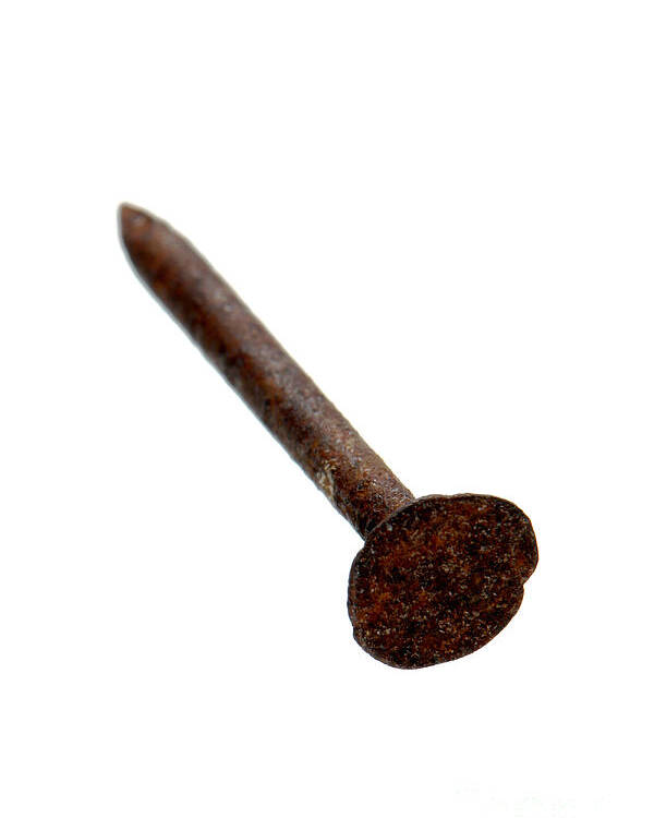 old-rusty-nail-olivier-le-queinec.jpg