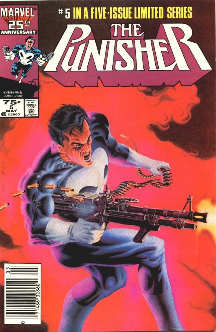 bd69b6396bcc8ce97773978cd36234db--punisher--comic-covers.jpg