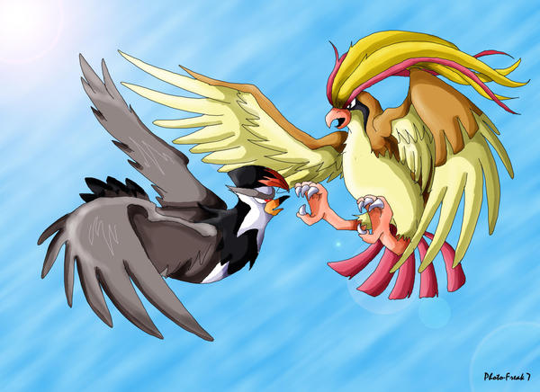 Pidgeot_vs_Staraptor_by_Photo_Freak7.jpg