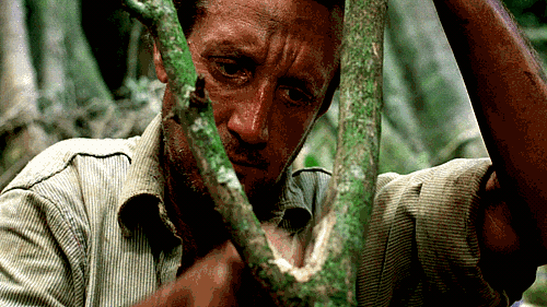 BwdN.gif