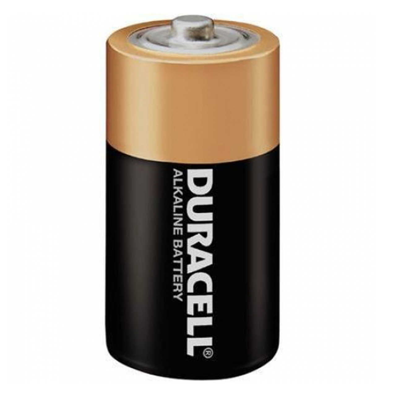 Duracell_D__30951.1398447897.jpg