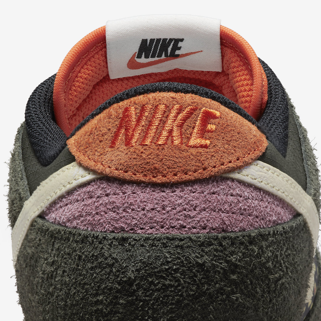 Nike Dunk Low Rainbow Trout FN7523-300 Release Date