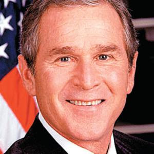 bush5.jpg