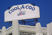 coolacoo.jpg