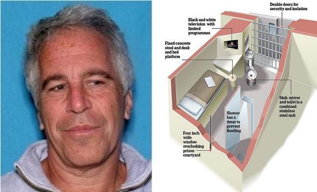 epstein%20cell.jpg