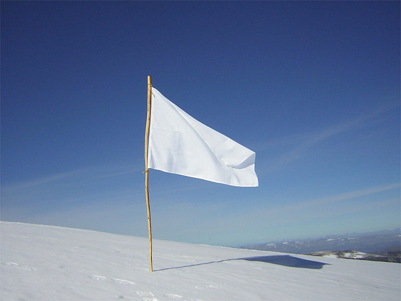 800px-White_Flag.jpg