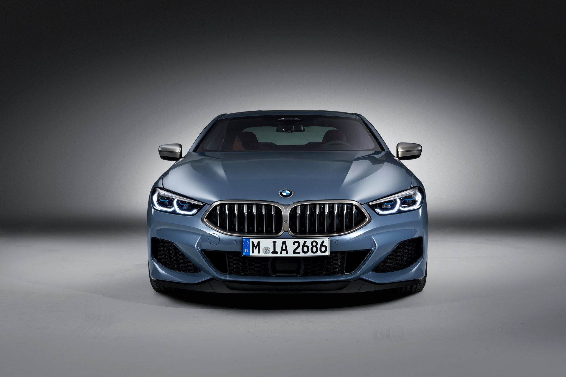 6e0082c8-bmw-8-series-2019-15.jpg