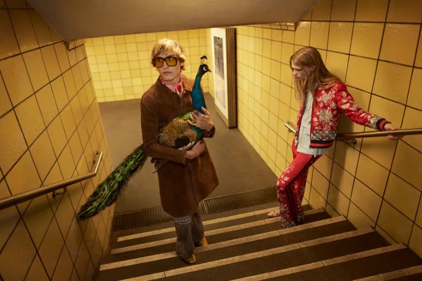 gucci-ss16-berlin-campaign-007.jpg