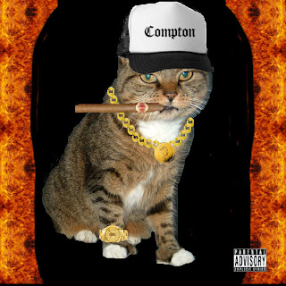 Pretty_Gangsta_Kitty.jpg