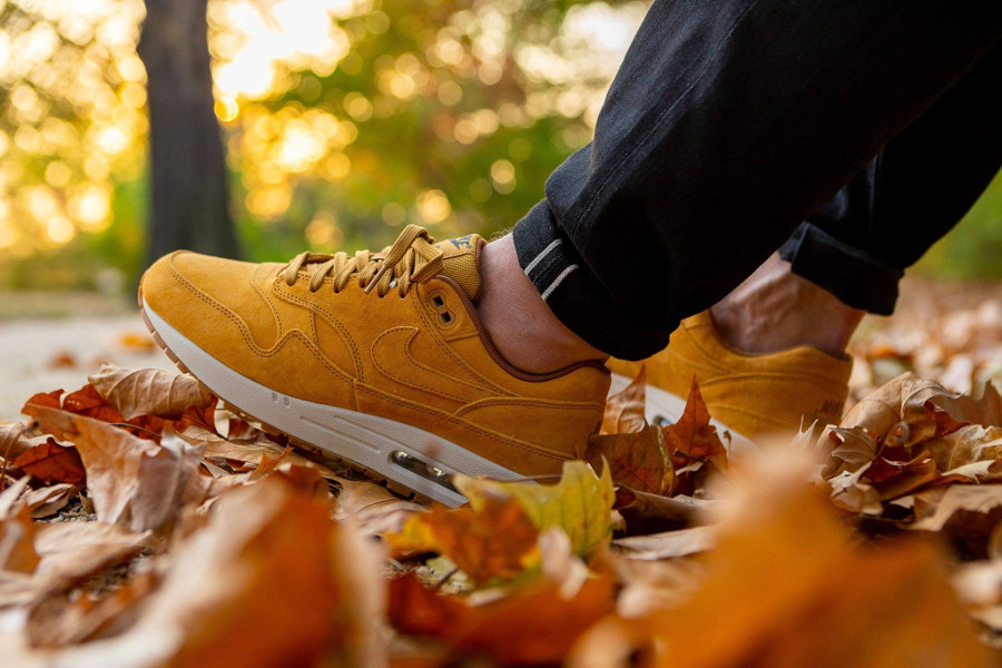 Nike-Air-Max-One-blé-beige-clair-et-marron-on-feet-5.jpg