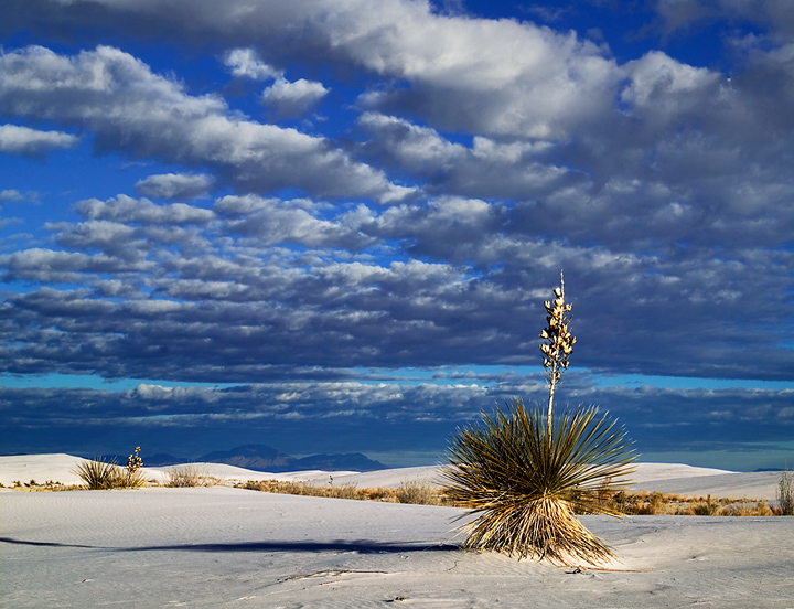 white_sands_bigsky_sunrise_web.jpg