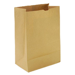 PaperBag.jpg