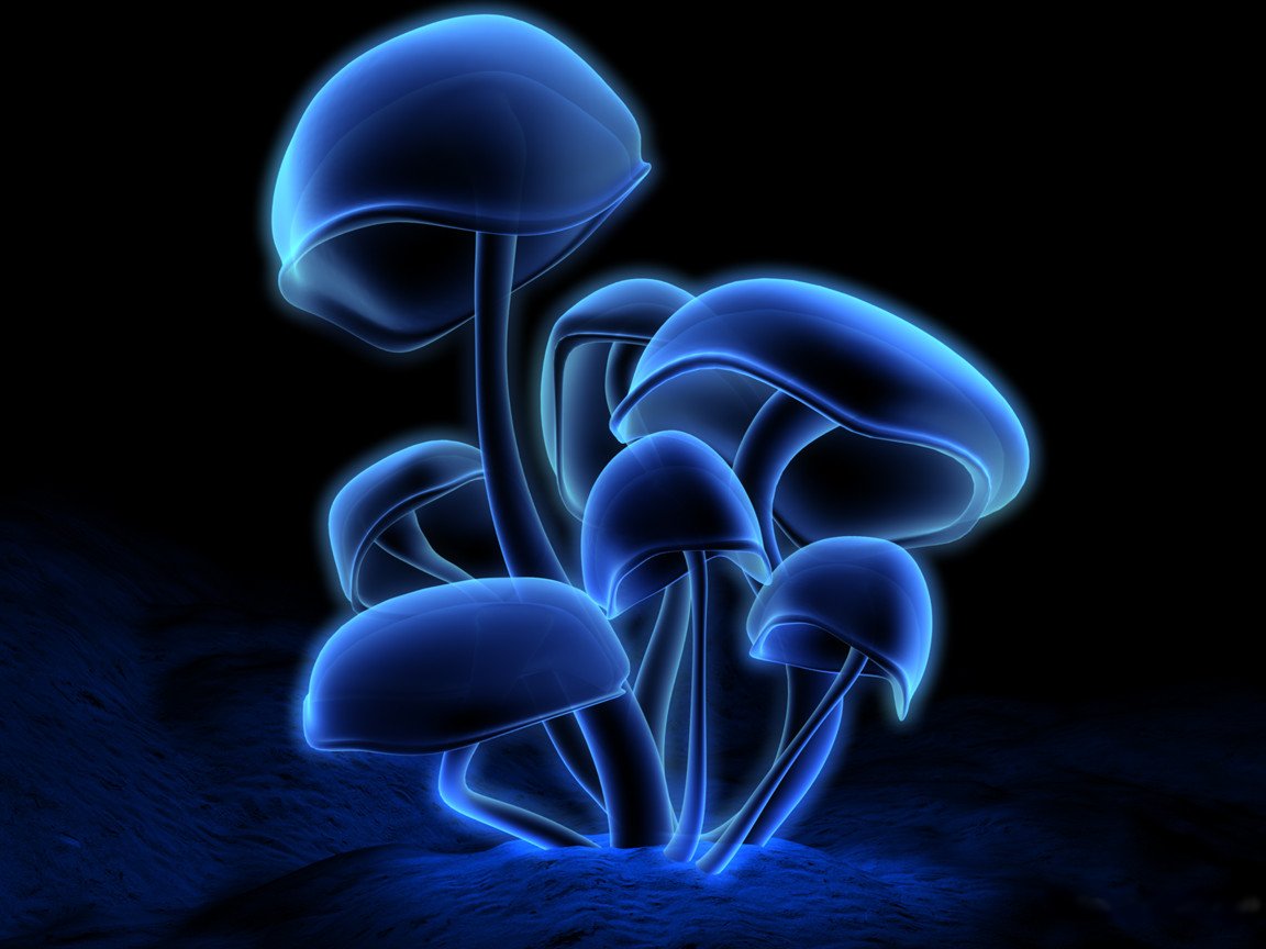 neon-mushrooms.jpg