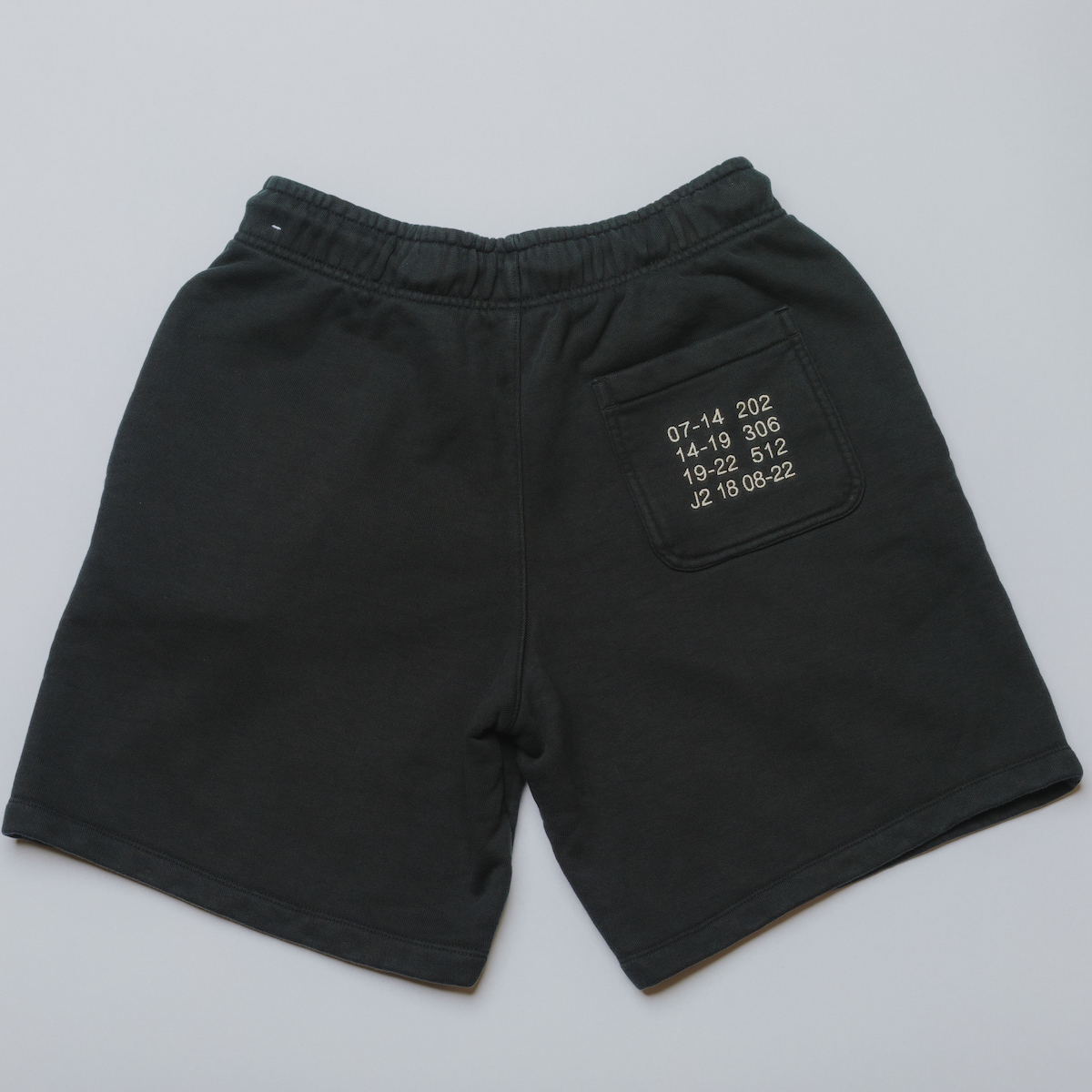 Two18 Air Jordan Shorts