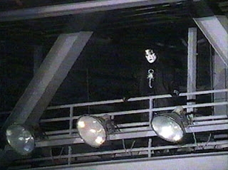 sting-rafters-watching.jpg