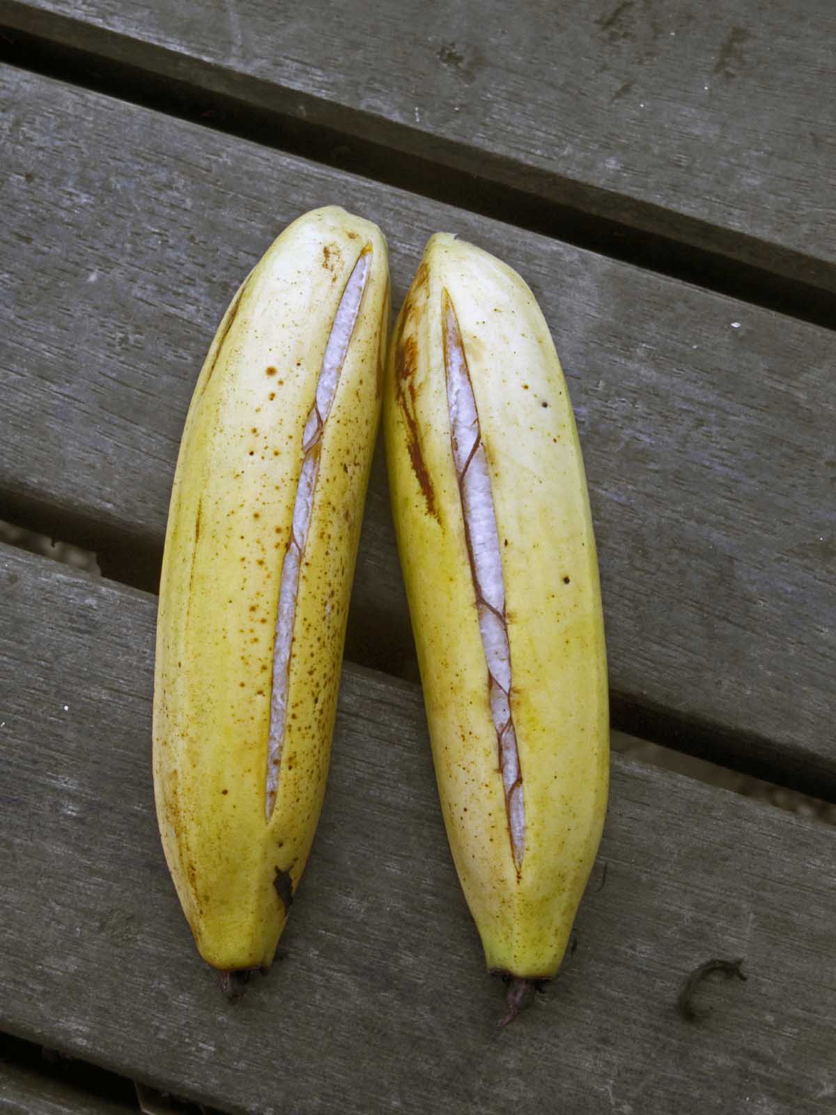 my_split_bananas_IMG_4180.jpg