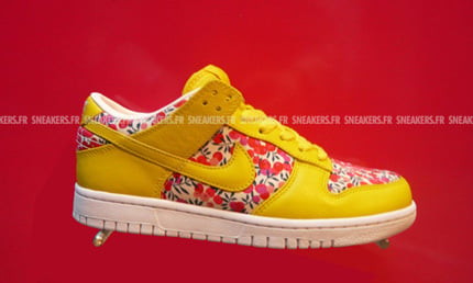 nike-dunk-2008-preview-9.jpg