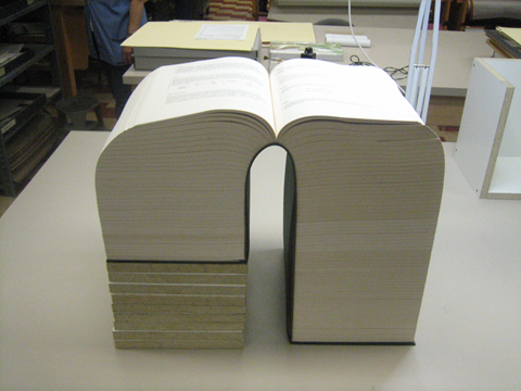 Huge-book.png