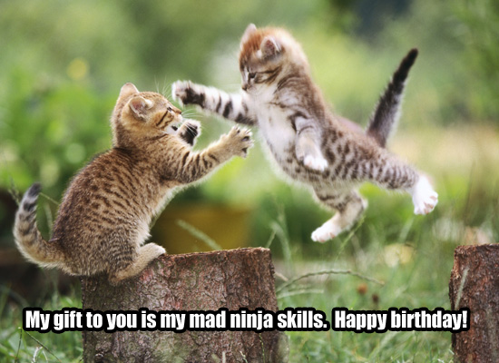 2011-05-03_164841_SillyKittyBirthday.jpg