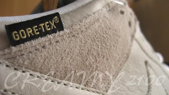 dunk-low-sb-wp-gore-tex-05.jpg