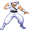 sprite_stormshadow_widestance.gif