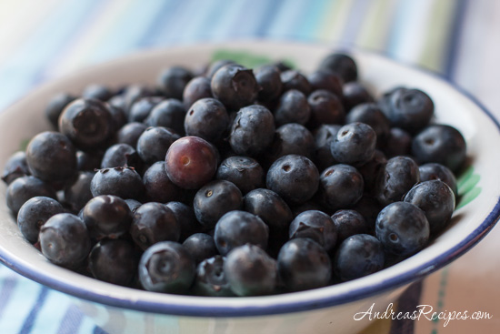 Blueberries_053009.jpg