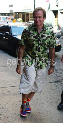 robinwilliams-bape.jpg