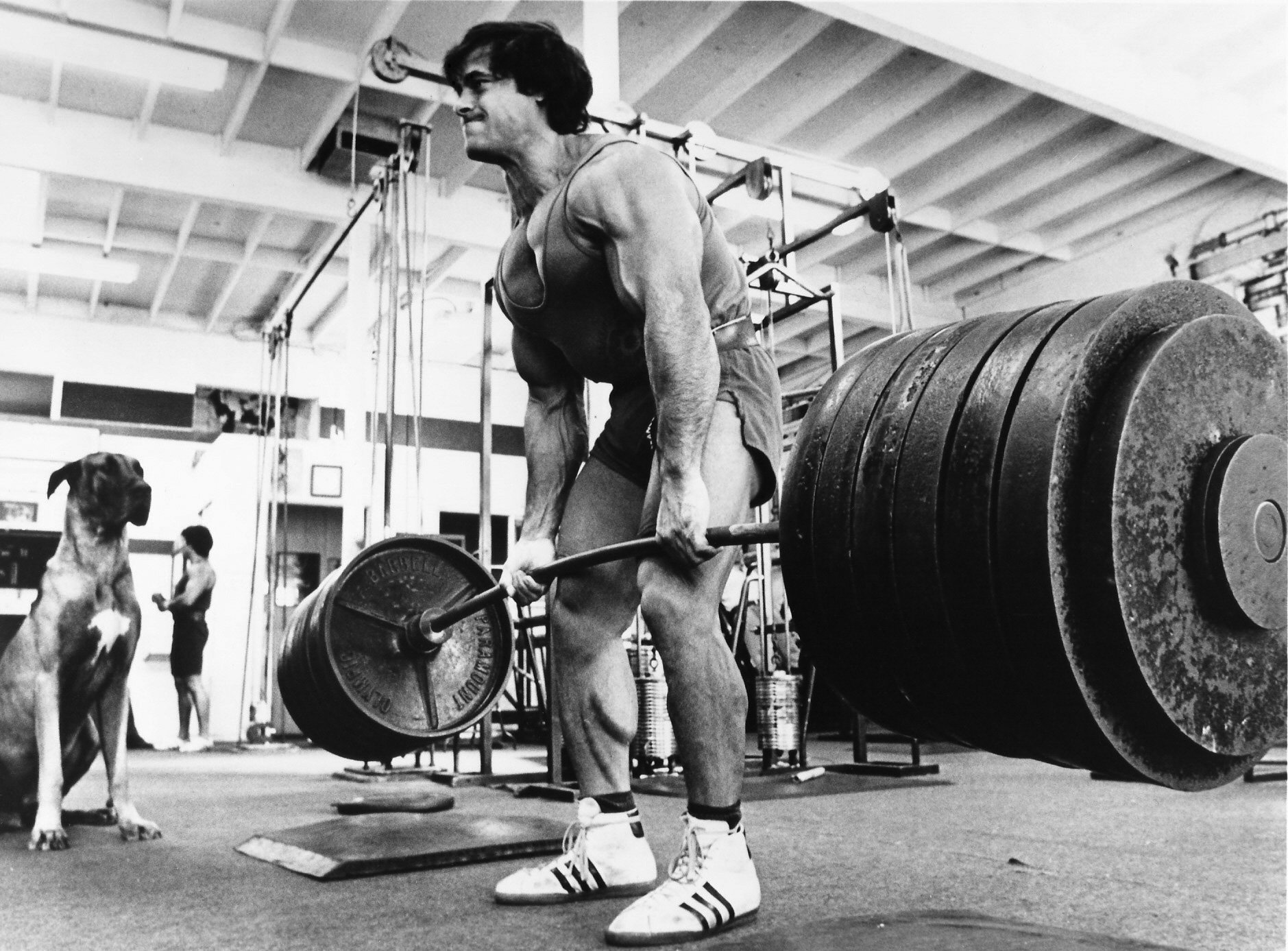 franco-columbu-deadlift.jpg