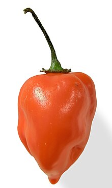 220px-Habanero_closeup_edit2.jpg