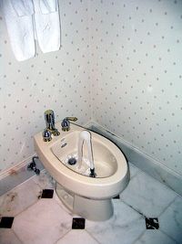 200px-Bidet2_89.jpg