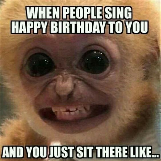 15 Hilarious Monkey Memes To Brighten Your Day - monkey meme about being  sung “happy birthday” to with pic of monkey smiling awkwardly - | Blog,  Kanaviçe